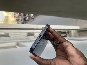 Apple iPhone 16 Pro Max 256 GB Noir