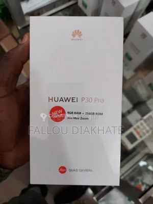 Nouveau Huawei P30 Pro 256 GB Autre