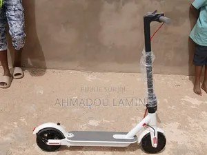 Trotinette Électrique