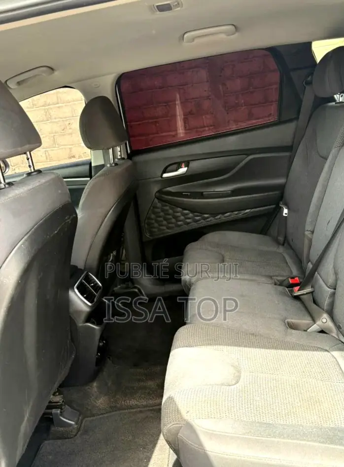 Hyundai Santa Fe 2019 Blanc