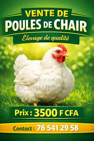 Vendre Des Poule