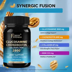 Glucosamine Chondroïtine Pour La Santé Des Articulations