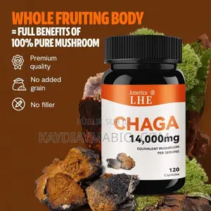 Capsules De Champignons Chaga Pour L'énergie, Soutien Immunitaire,