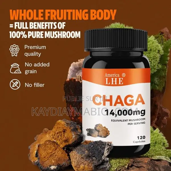 Capsules De Champignons Chaga Pour L'énergie, Soutien Immunitaire,