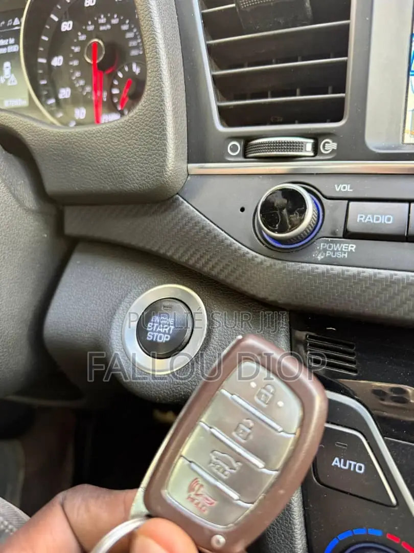 Hyundai Elantra 2018 Rouge