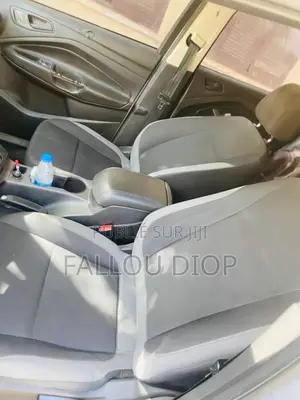 Ford Escape 2013 Gris