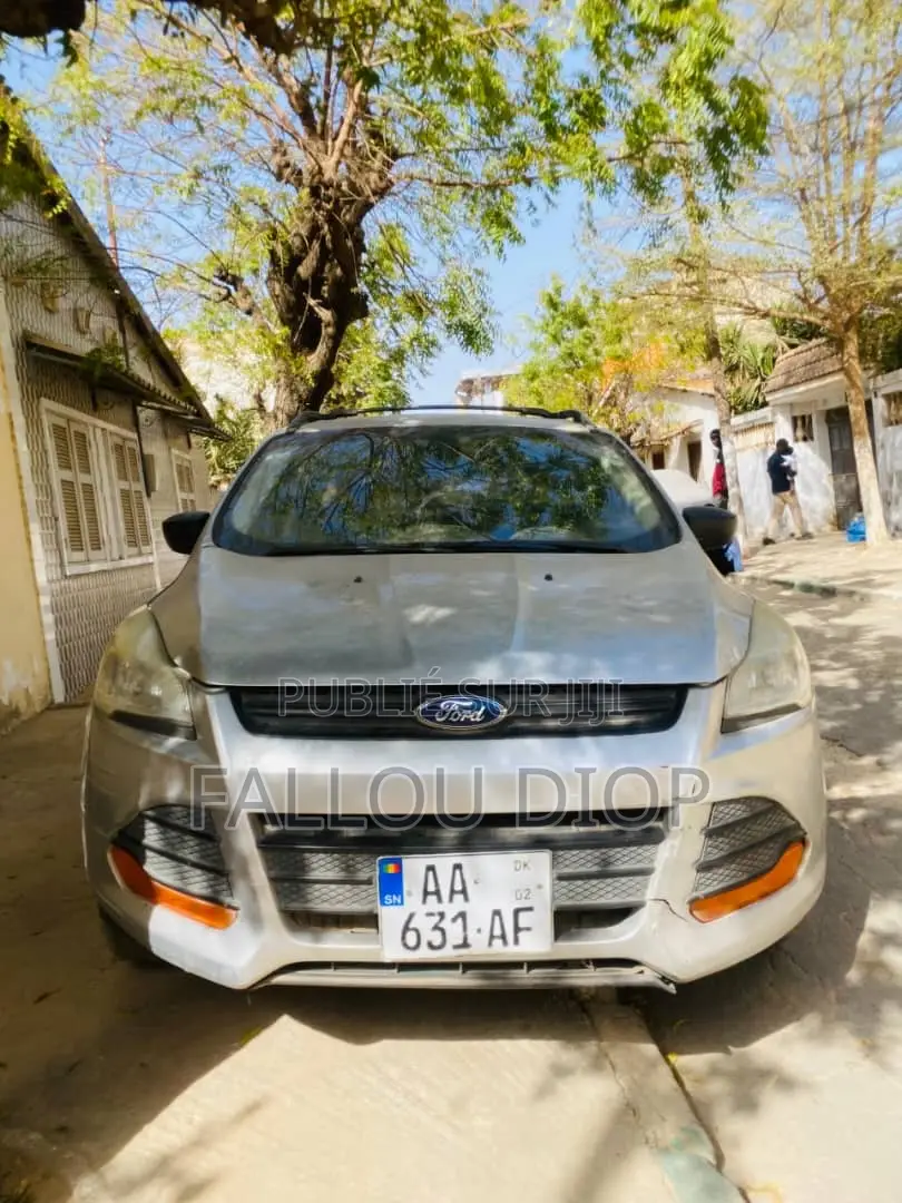 Ford Escape 2013 Gris