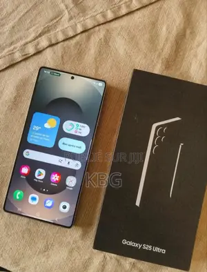 Nouveau Samsung Galaxy S25 Ultra 256 GB Gris