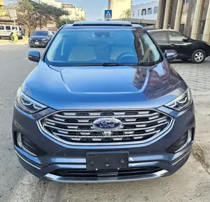 Ford Edge 2019 Gris