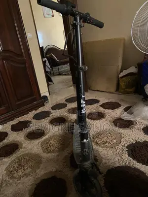 Trottinette Électrique