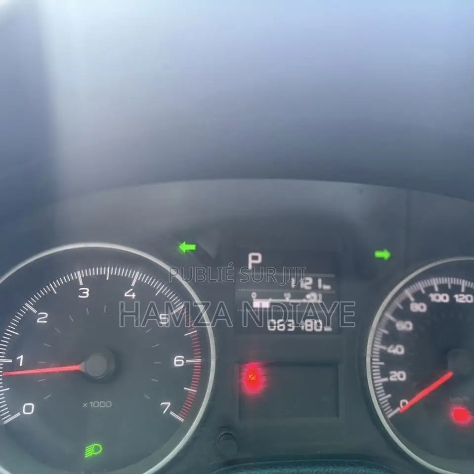 Peugeot 301 2021 Gris