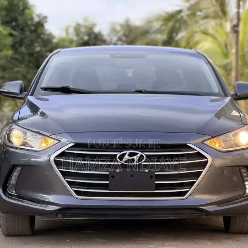 Hyundai Elantra 2017 Gris