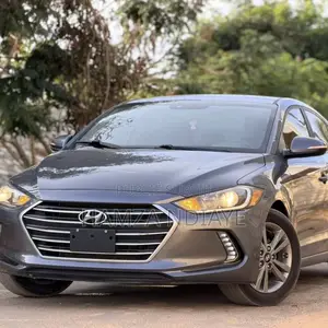 Hyundai Elantra 2017 Gris
