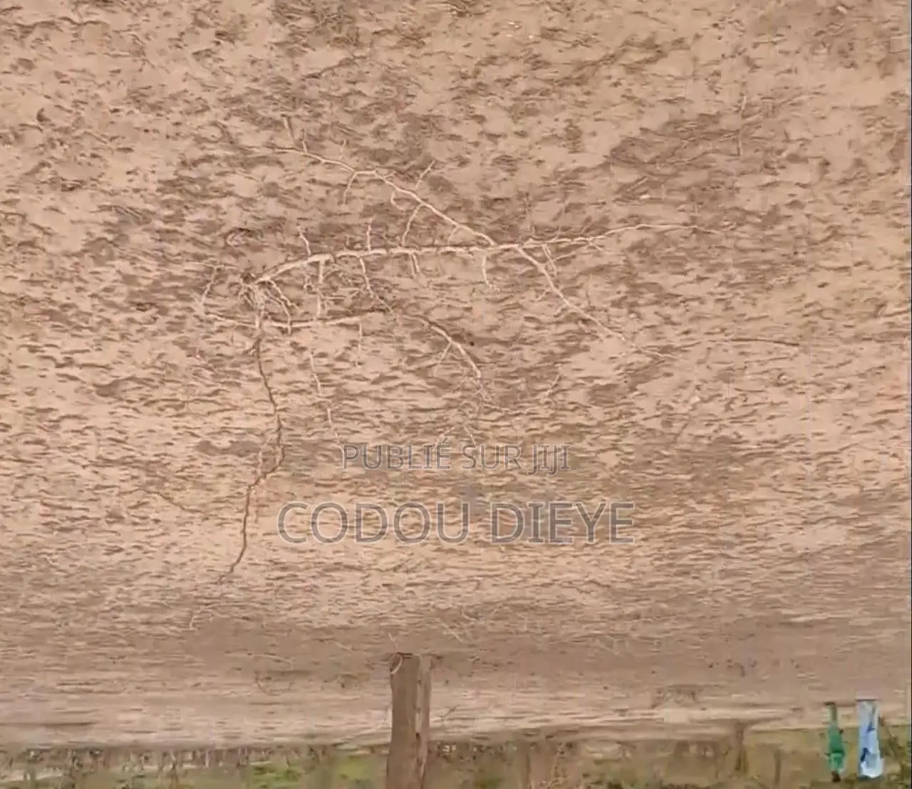 Des Terrains De 150 M2 A Vendre A Bambilor