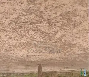 Des Terrains De 150 M2 A Vendre A Bambilor