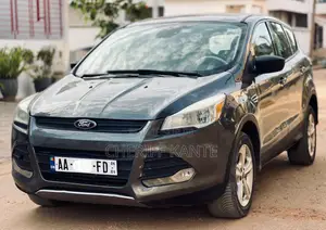 Ford Escape SE 2013 Gris