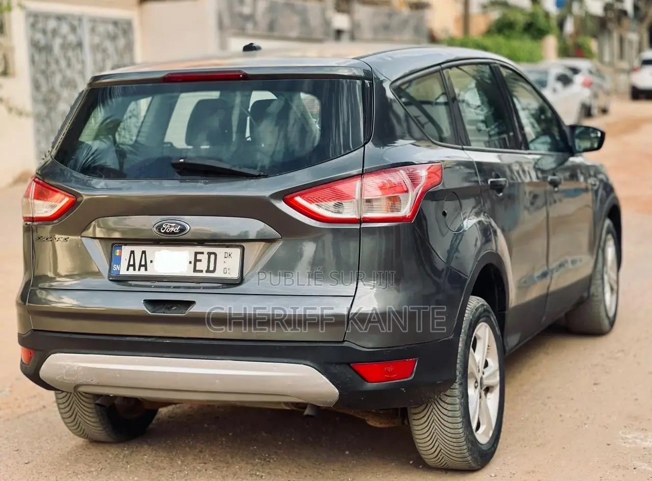 Ford Escape SE 2013 Gris