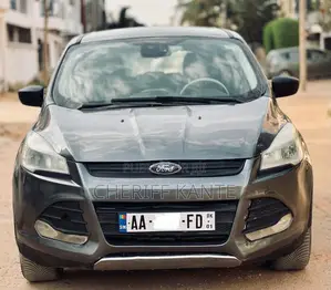 Ford Escape SE 2013 Gris