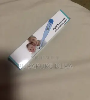 Thermométre Électronique