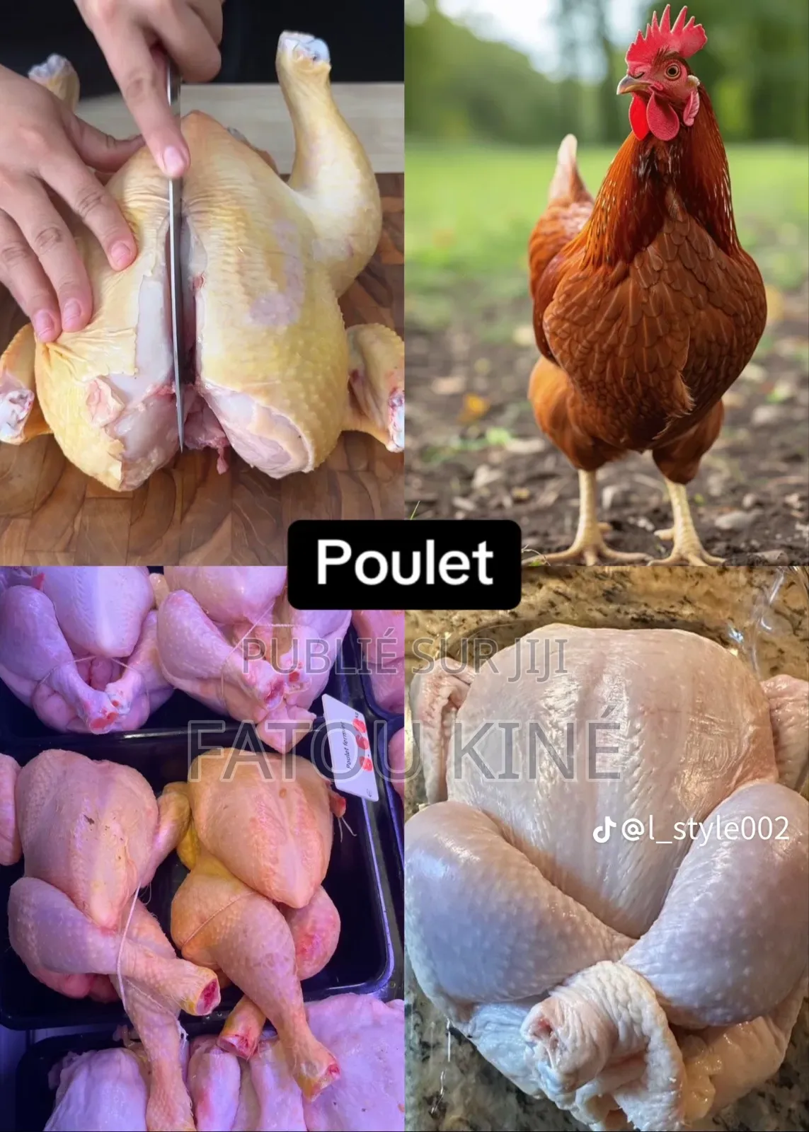 Poule De Chair