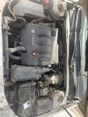 Peugeot 406 2004 Gris