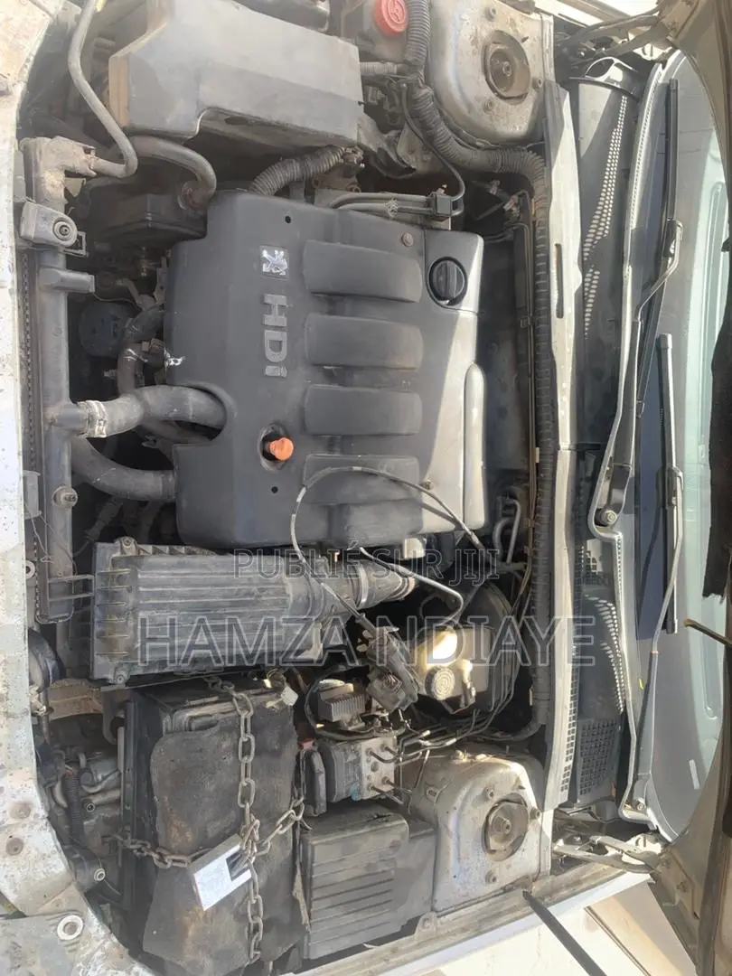 Peugeot 406 2004 Gris