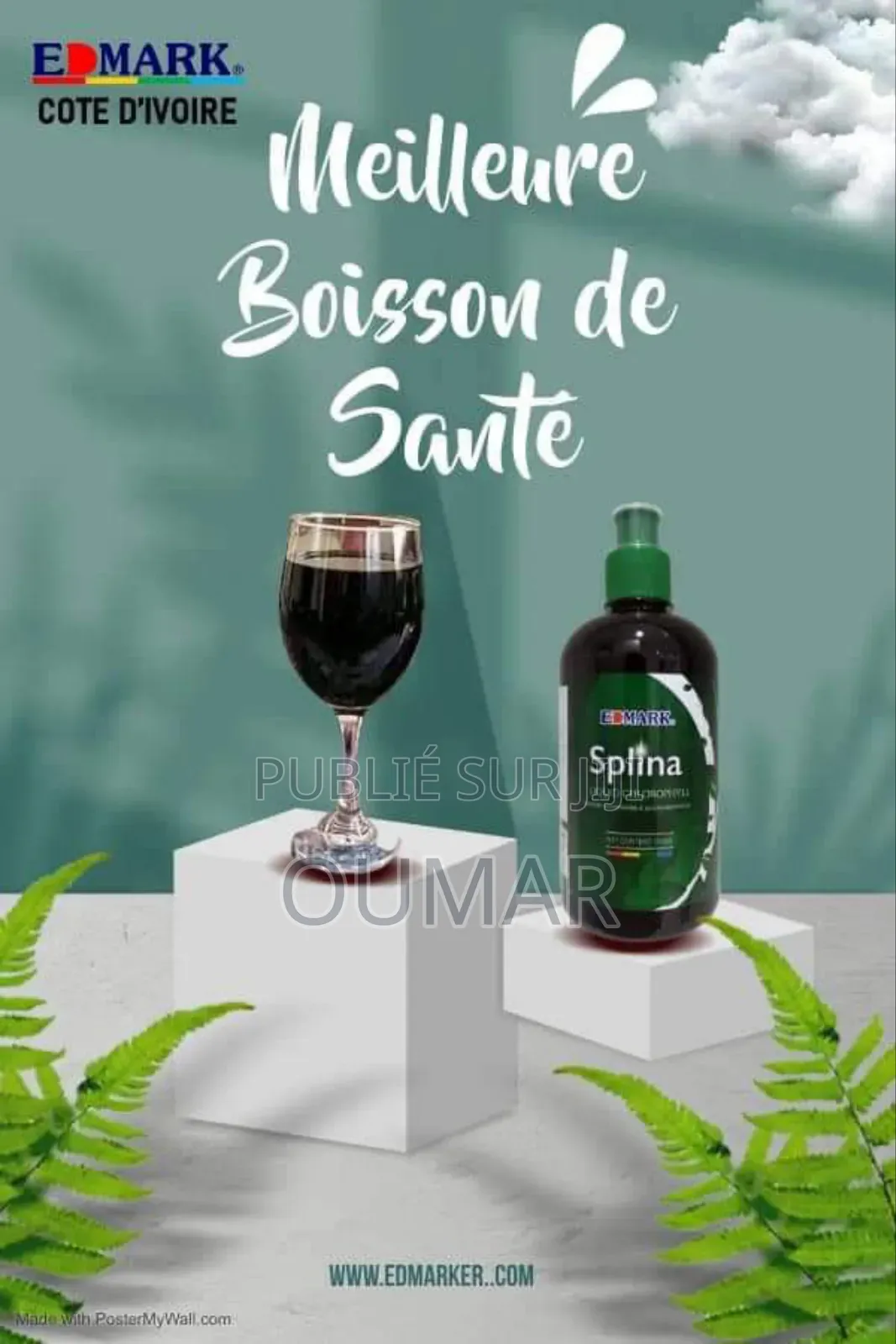 Splina Chlorophylle Liquide