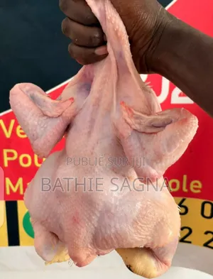 Vente De Poulet De Chair Frais Et Déplumé