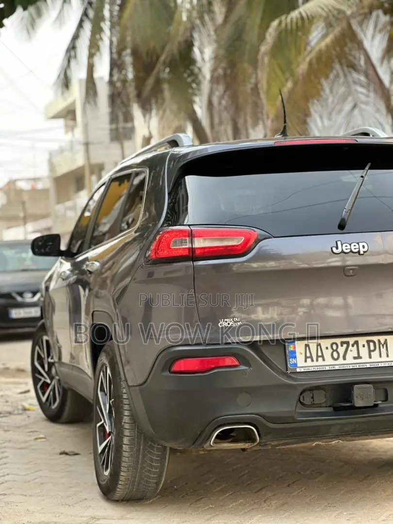 Jeep Cherokee 2015 Gris