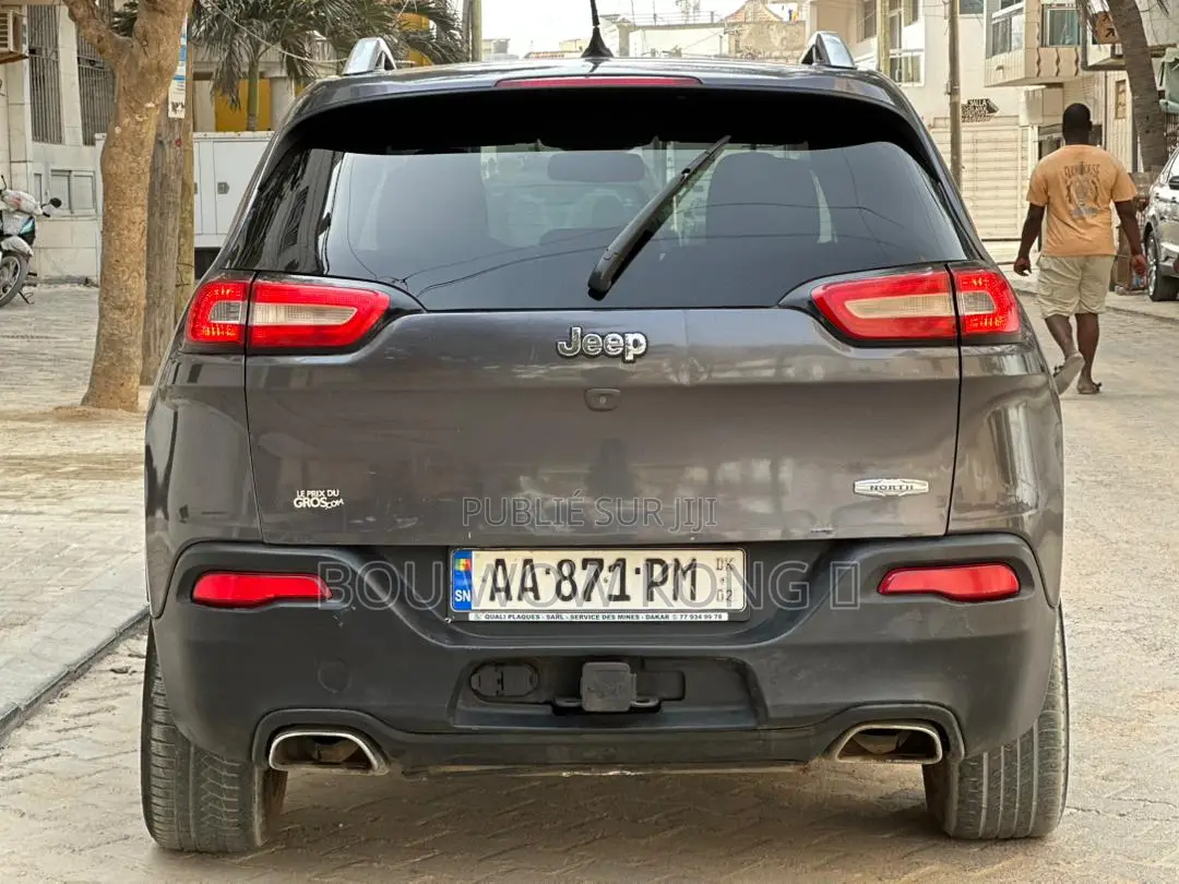Jeep Cherokee 2015 Gris