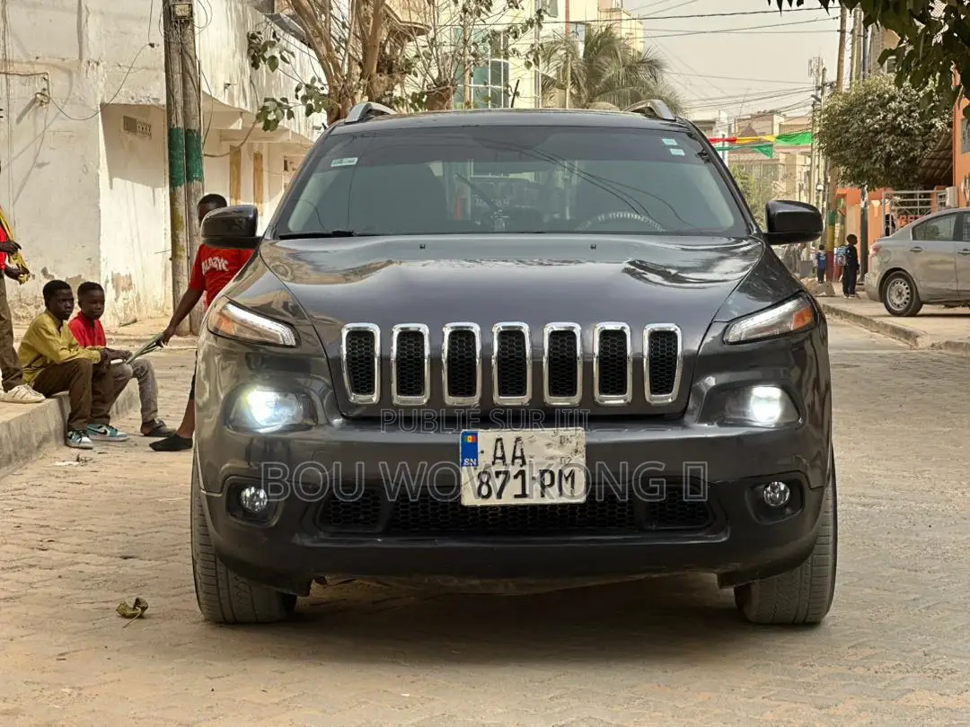 Jeep Cherokee 2015 Gris