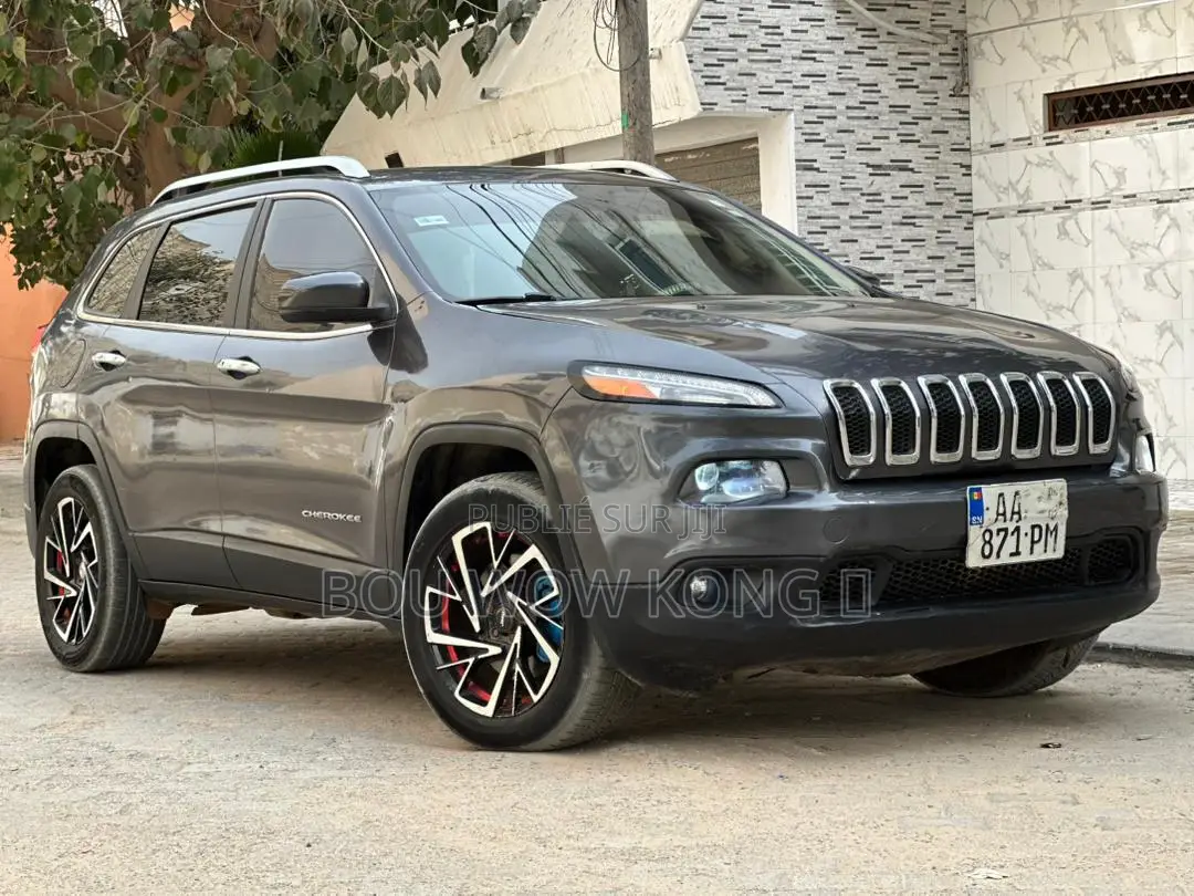 Jeep Cherokee 2015 Gris