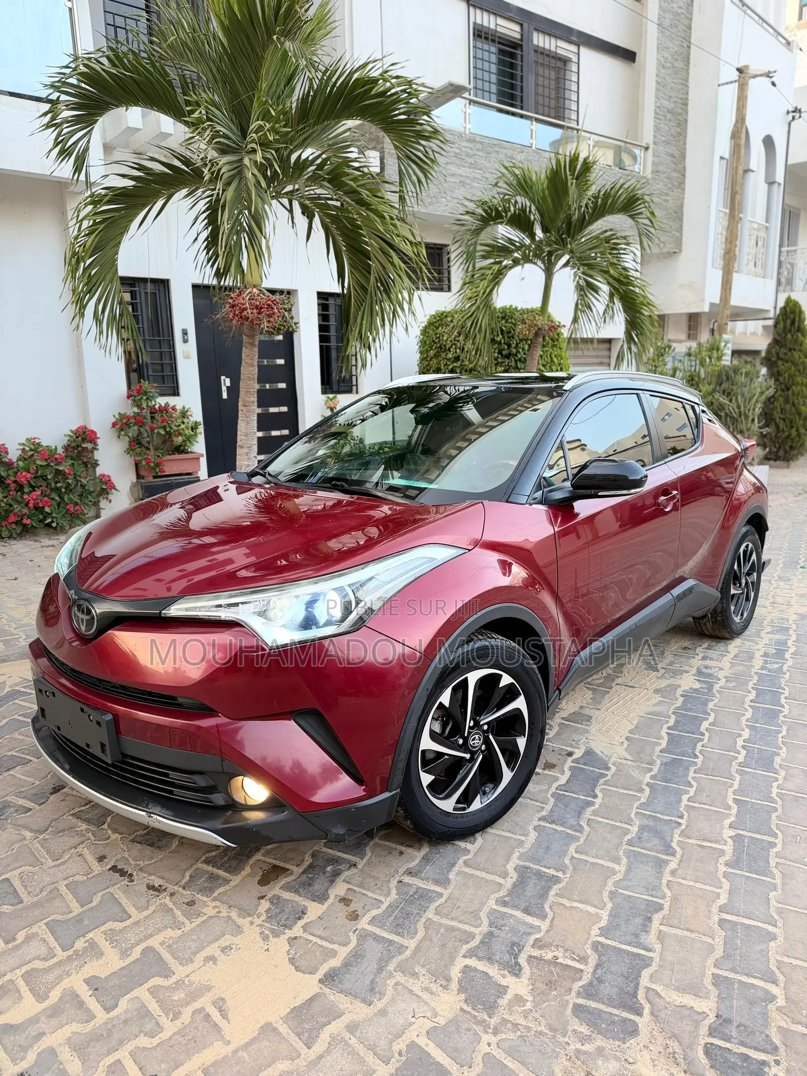 Toyota C-HR Limited FWD 2019 Rouge