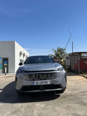 Peugeot 3008 2024 Gris