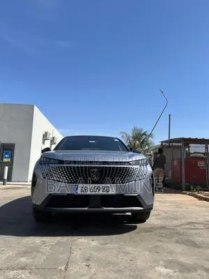 Peugeot 3008 2024 Gris