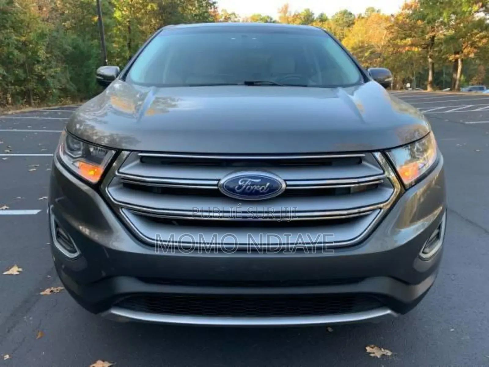 Ford Edge 2017 Gris