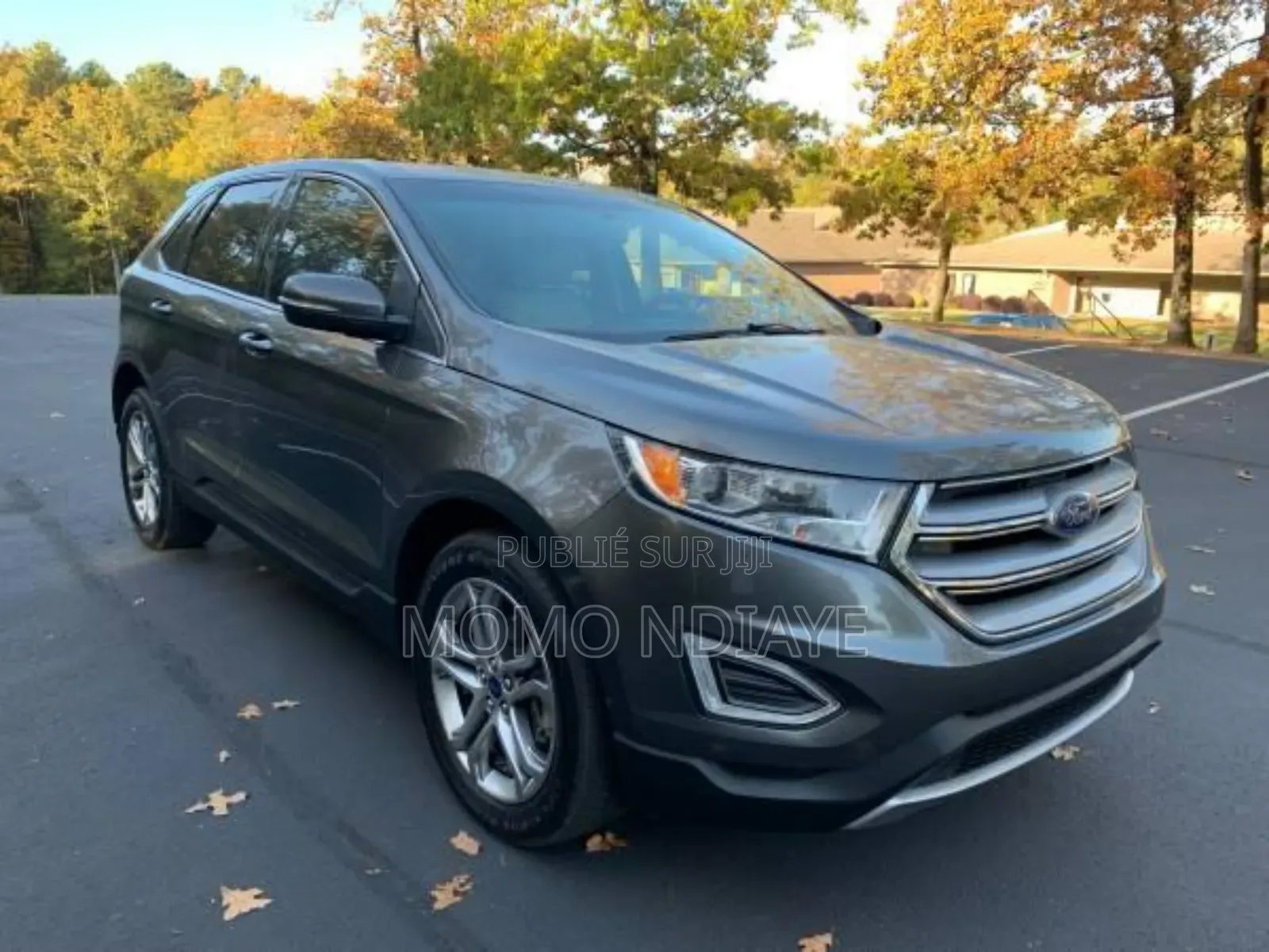 Ford Edge 2017 Gris
