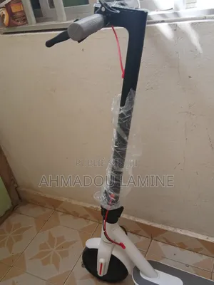 Trotinette Électrique