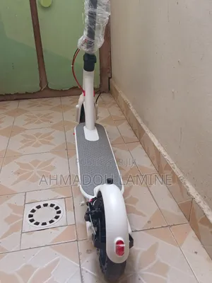 Trotinette Électrique