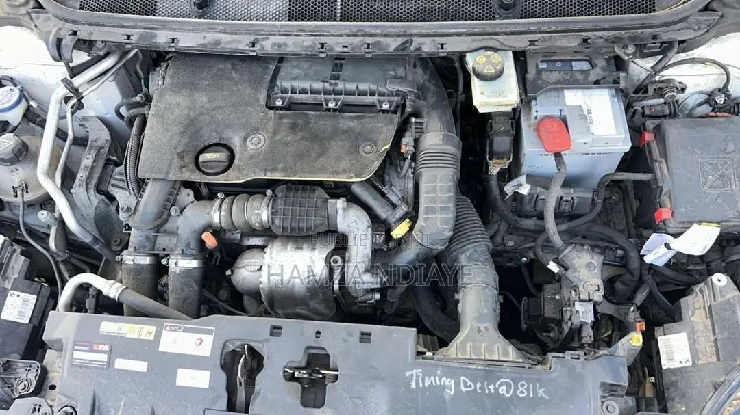 Peugeot 308 2019 Blanc