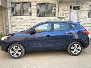 Hyundai Tucson 2012 Bleu