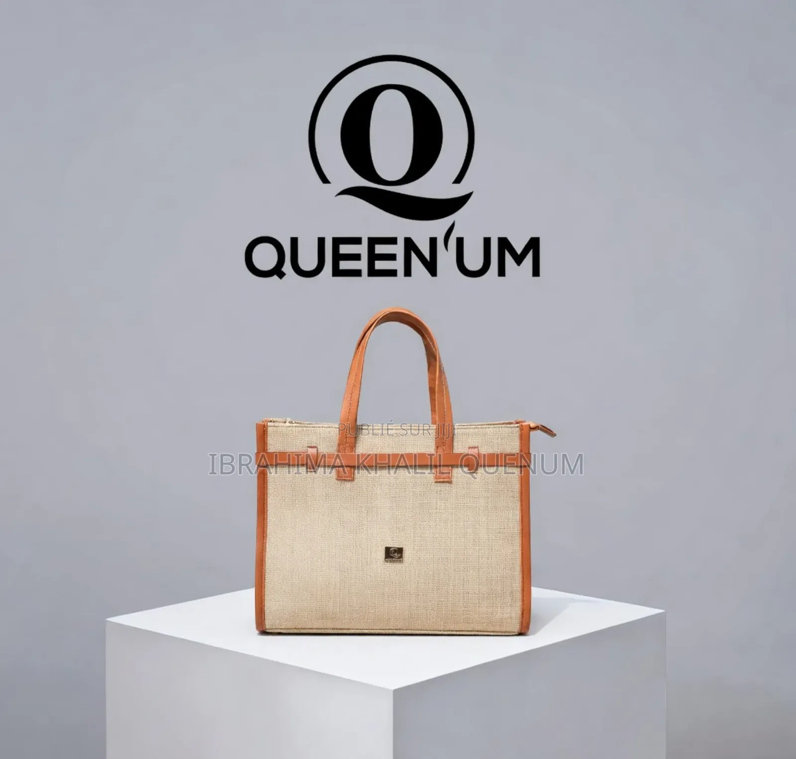 Sac Élégant Et Chic