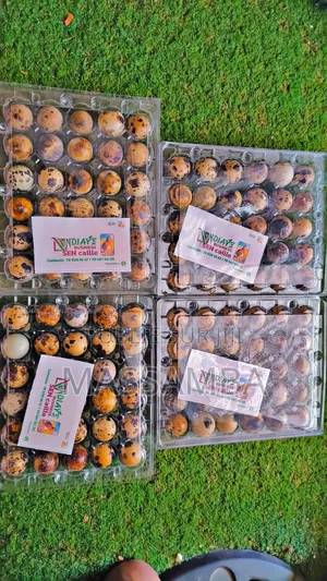 Tablette Œufs De Caille