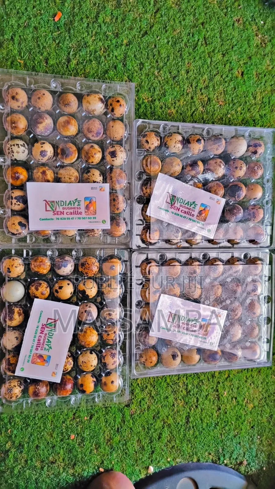 Tablette Œufs De Caille