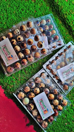 Tablette Œufs De Caille