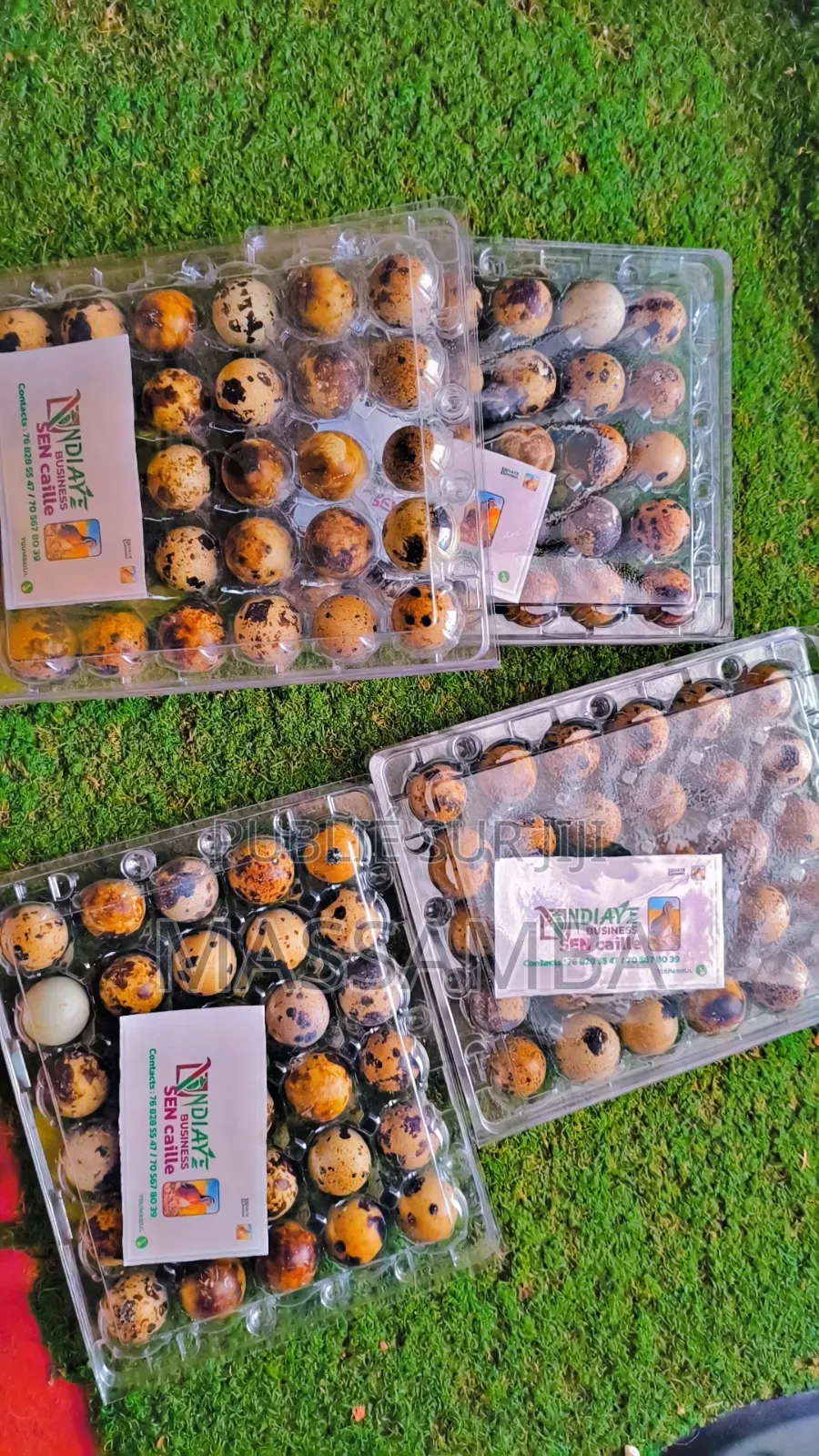 Tablette Œufs De Caille