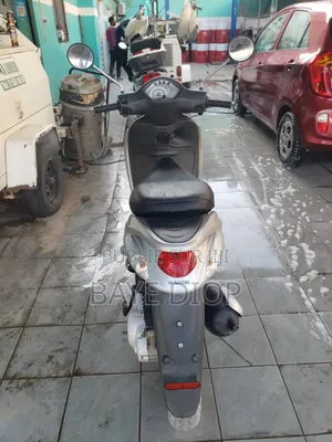 Nouveau Piaggio Trotinette 2018 Gris