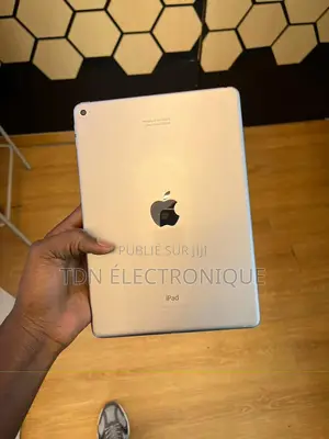 Apple iPad 2 Wi-Fi 64 GB Gris