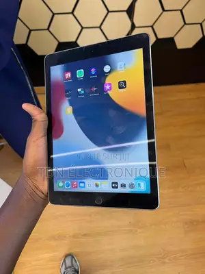 Apple iPad 2 Wi-Fi 64 GB Gris