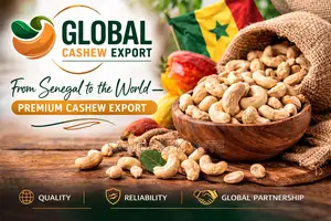 Slogan : “From Senegal to the World – Premium Cashew Export.”